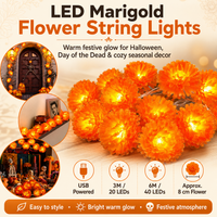 3M/20 lights