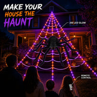 Purple & Orange 250-Light Spider Web Set