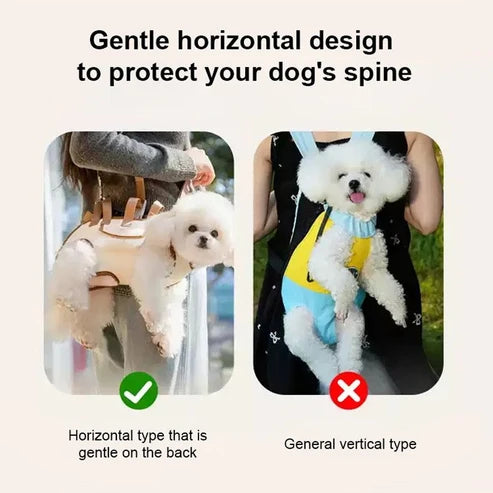 2-in-1 Pet Carrier Bag