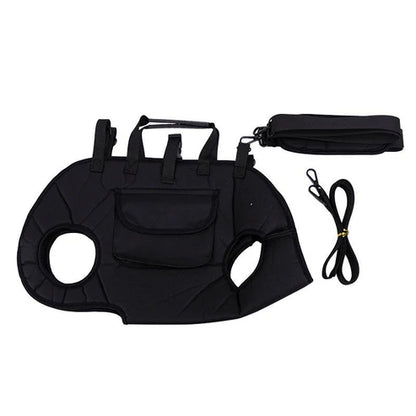 2-in-1 Pet Carrier Bag